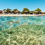 Beachfront Bliss - Vortex4bb * 티스노