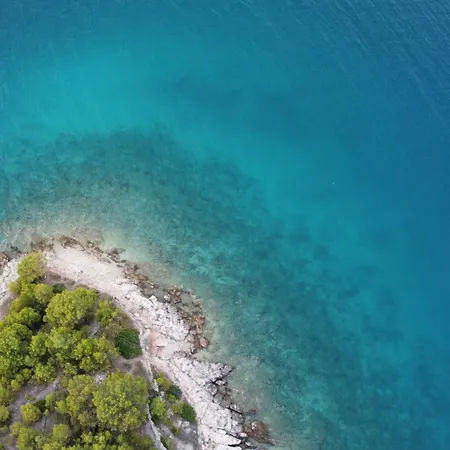 Beachfront Bliss - Vortex4bb