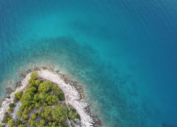 Beachfront Bliss - Vortex4bb